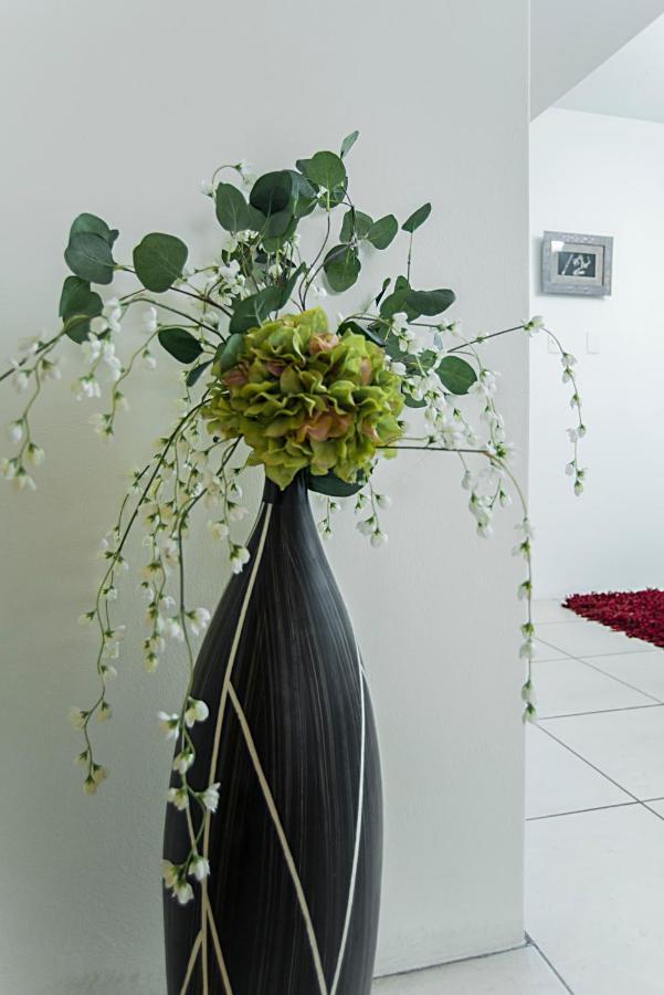 Amplio Y Bonito Departamento En La Col. La Paz Apartment Puebla Ngoại thất bức ảnh